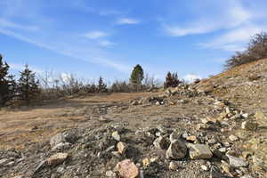 Large Cleared Flat Building Area
