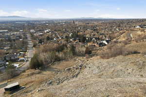 View from Top of the Lot