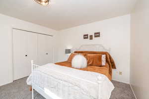 Primary Bedroom featuring carpet and a closet
