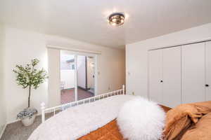 Primary Carpeted bedroom with access to Private patio and a closet