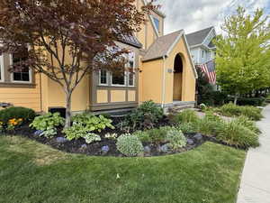 Doorway to property with a lawn and stucco siding