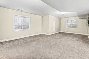 Basement living room