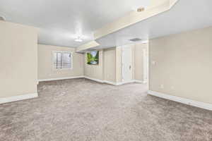 Basement living room