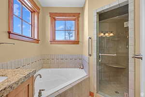 Bathroom with vanity, a stall shower, and a garden tub