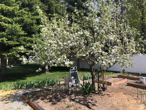 Fenced yard with a garden and a patio area