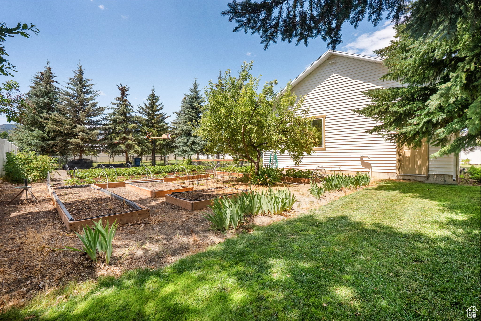 View of green lawn featuring a vegetable garden