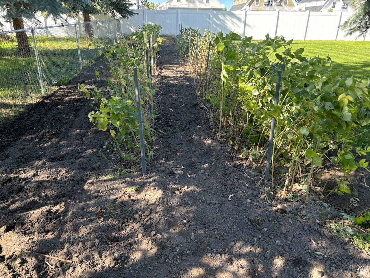 Fenced backyard with a garden
