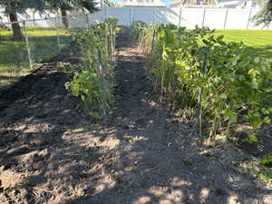 Fenced backyard with a garden
