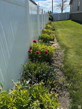 View of fenced backyard