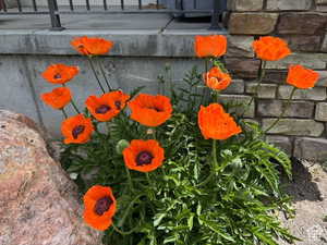 Exterior view landscaping