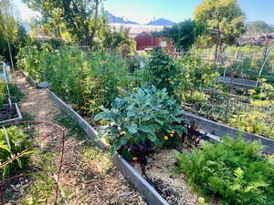 Community gardens where you can get a garden plot