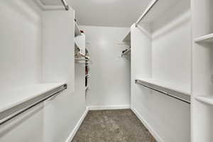 Walk in closet with light carpet