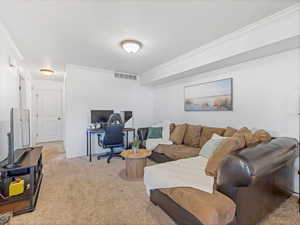 Office featuring light colored carpet and crown molding