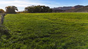 View of yard with a mountain view and a view of rural / pastoral area