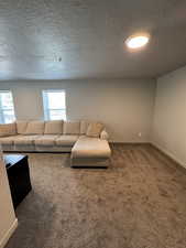 Living room featuring carpet flooring and a textured ceiling