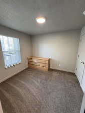 Carpeted spare room with a textured ceiling and baseboards