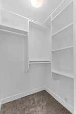 Walk in closet with dark colored carpet