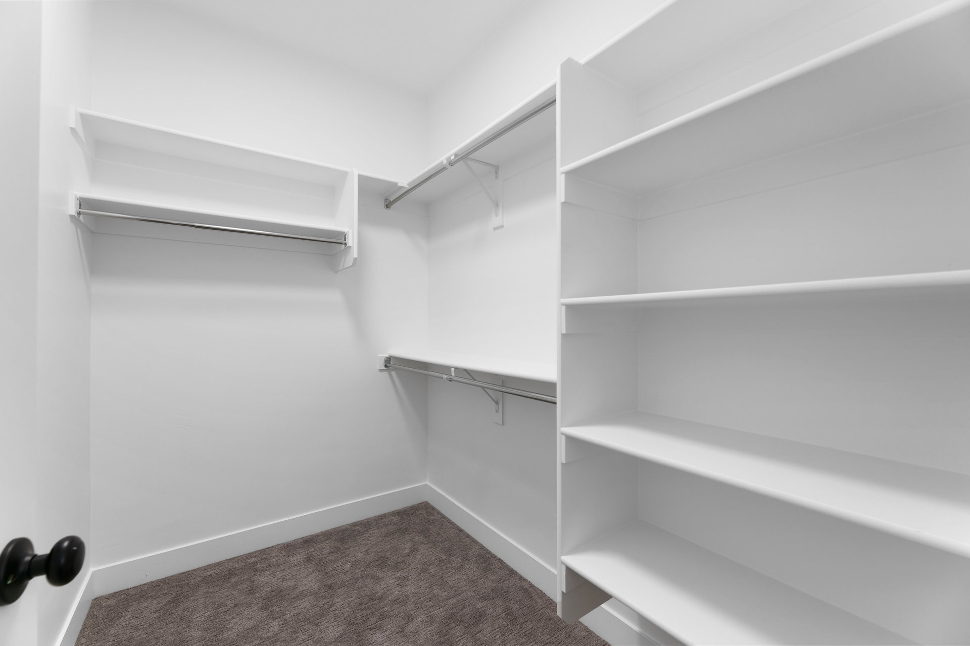 Walk in closet with dark colored carpet