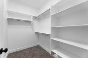 Walk in closet with dark colored carpet