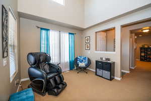 Living area featuring carpet floors and a high ceiling