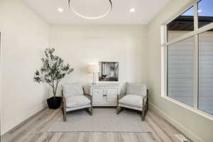 Living area featuring light wood-type flooring and recessed lighting