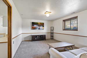 Living room featuring light colored carpet and a textured ceiling