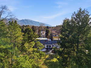 View of mountain background