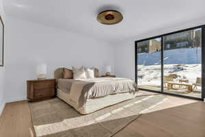 Bedroom featuring access to exterior and light wood-style floors