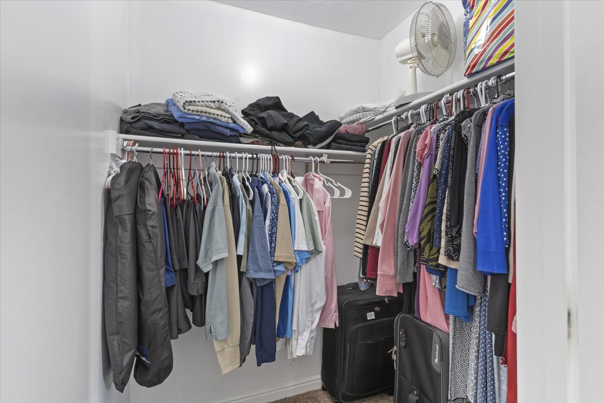 Walk in closet with carpet flooring