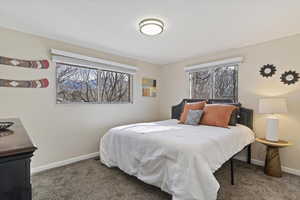 Carpeted bedroom featuring multiple windows