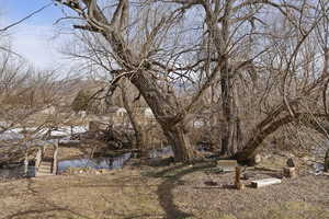 View of yard with a water view