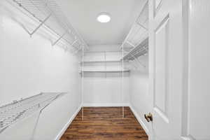 Walk in closet with dark wood-type flooring