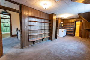 Interior space with light colored carpet and wooden walls