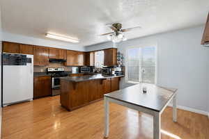 Kitchen featuring stainless steel appliances, dark countertops, a peninsula, light wood-style floors, and a ceiling fan