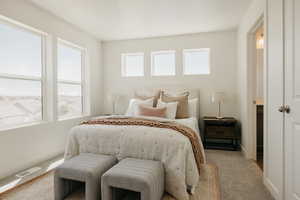 Carpeted bedroom with multiple windows