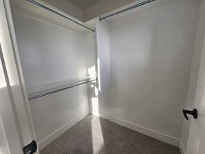 View of walk in closet