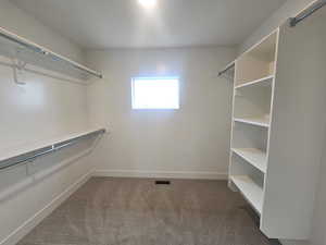 Walk in closet with dark colored carpet