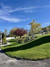 Surrounding community