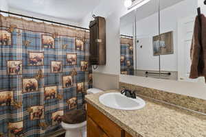 Bathroom featuring a wainscoted wall, curtained shower, and vanity