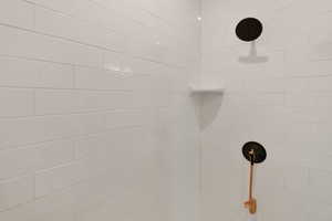 Bathroom view of tiled shower