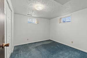 Below grade area with dark carpet and a textured ceiling