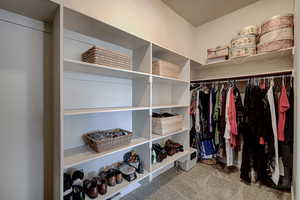 Walk in closet featuring light colored carpet