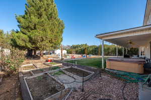 View of grassy yard with a ceiling fan, a patio, and a hot tub