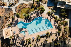 Bird's eye view of a pool