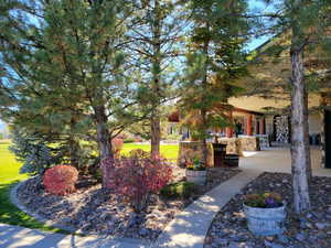 View of green lawn featuring a patio area