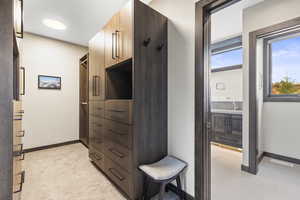 Walk in closet featuring light carpet