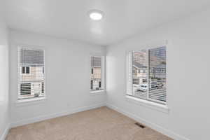 Unfurnished room featuring plenty of natural light and light colored carpet