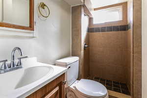 Full bathroom featuring a stall shower and vanity