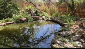 Exterior view of a small pond