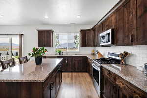 Kitchen featuring dark wood finish cabinetry, stainless steel appliances, dark stone counters, light wood-style floors, and a kitchen island